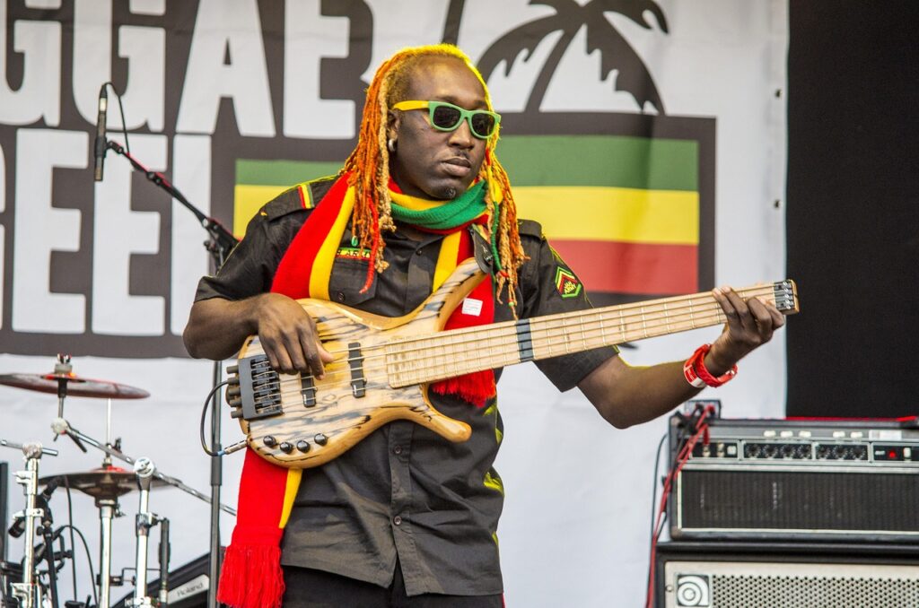 reggae, musician, concert, reggae, reggae, reggae, reggae, reggae